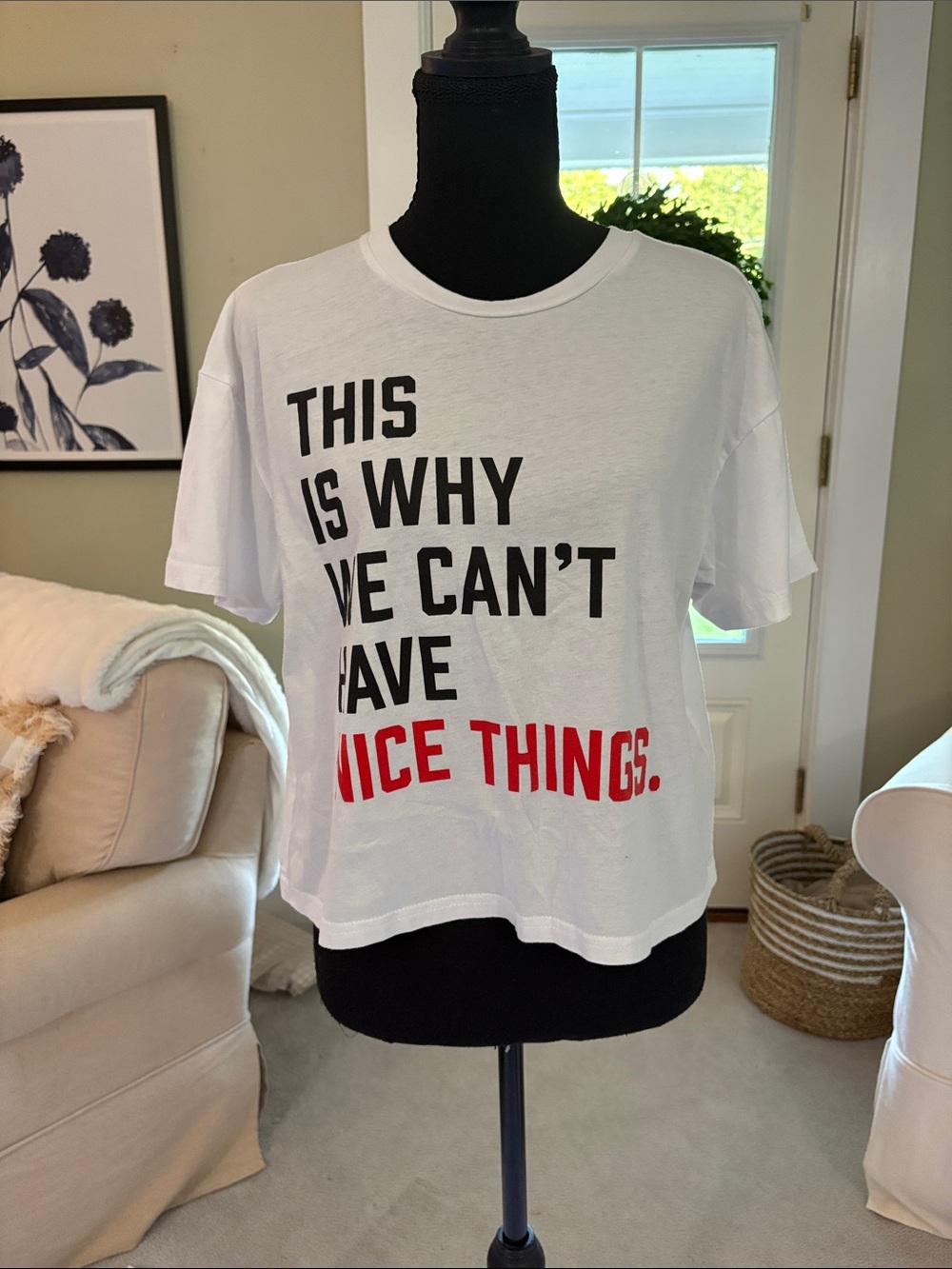 Taylor Swift White Graphic Tee - "This Is Why We Can't Have Nice Things."